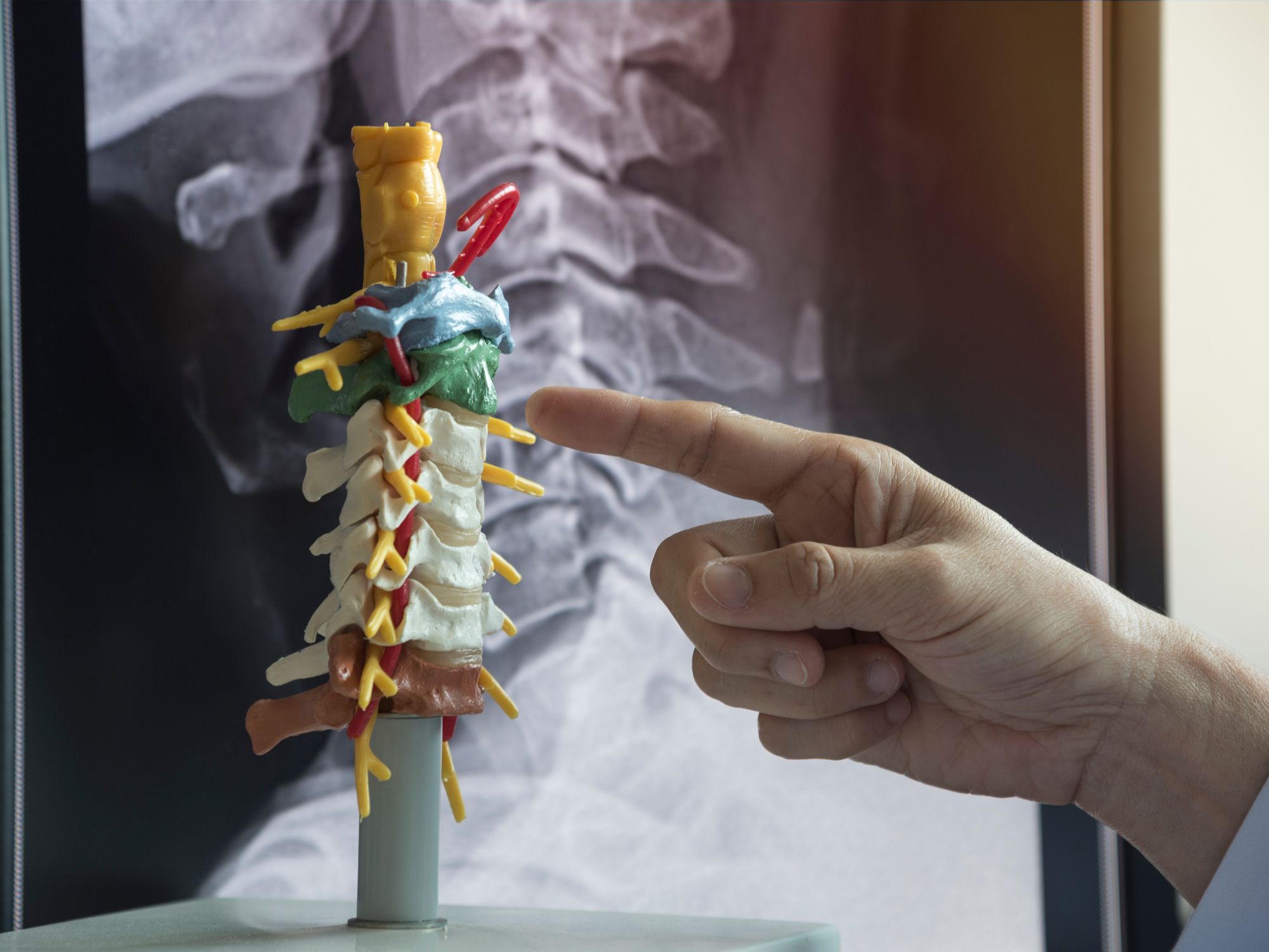 Chiropractic Care in North Kansas City: Realigning Your Spine for Natural Healing